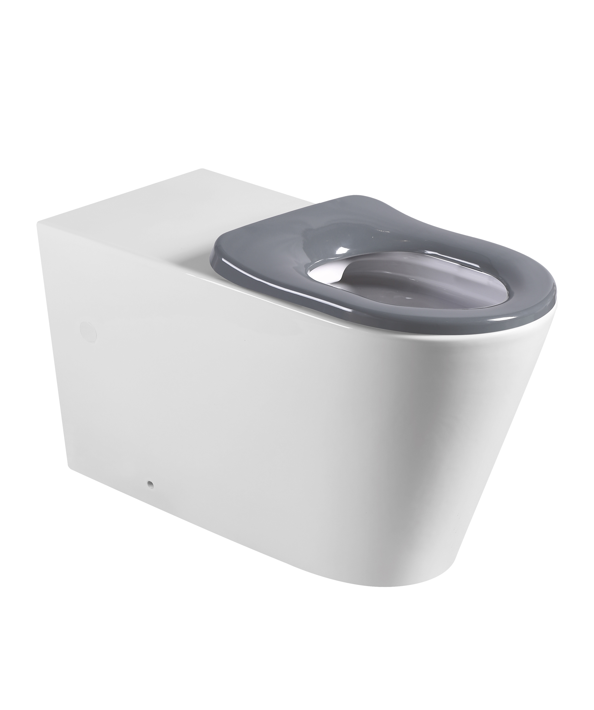 Modia Care Floor Mount toilet suite - 800mm - Accessible compliant - choice of grey, blue or white seat